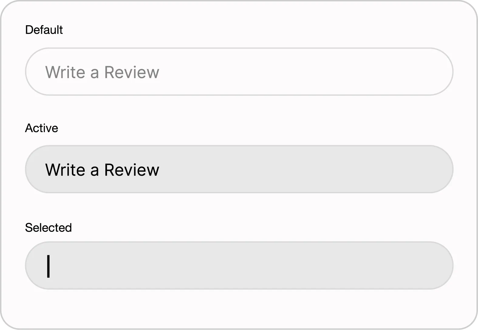 Text Input Bar